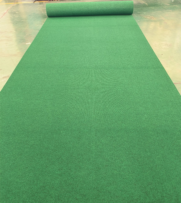 Exhibition Plain Carpet 14