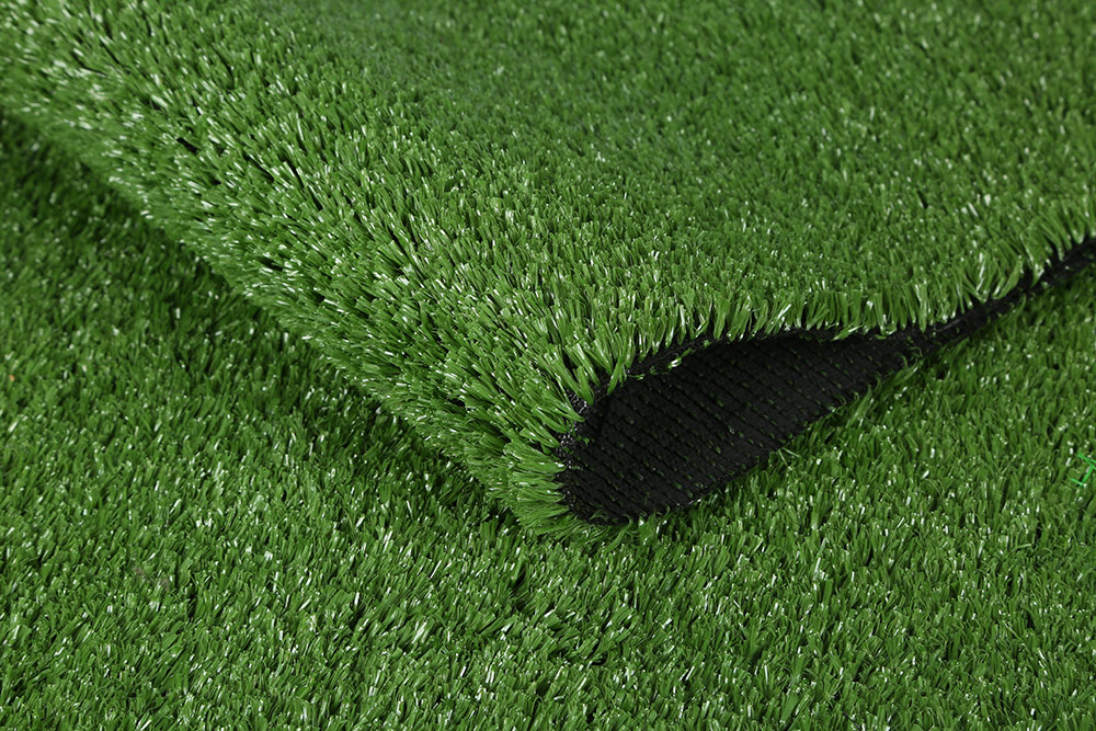 Decorative Grass 01